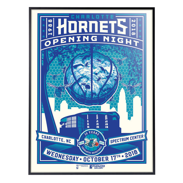 Charlotte Hornets 30th Anniversary 18