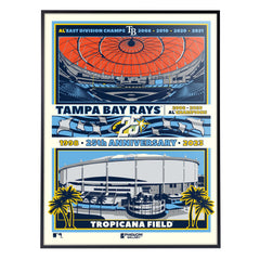 Tampa Bay Rays 25th Anniversary 18" x 24" Serigraph